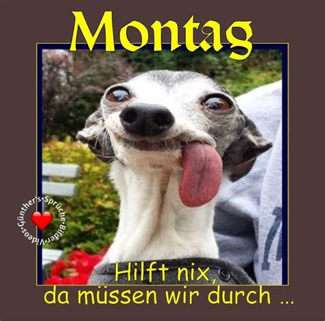 Montag Monday Lundi Pin Alles Montag Montag Gr E Montag Spr Che