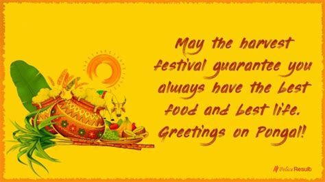 Best Tamil Pongal Greetings Online Quotes, Pongal Valthukkal - Best ...