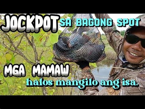 Jackpot Puro Mamaw Sa Bagong Spot Part1 Airgunfishing Jhonie Bellen