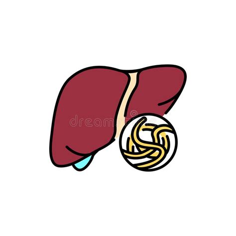 Liver Diseases Line Icons Set Isolated Vector Element Stock Vector