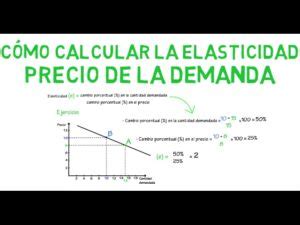 Descubre la fórmula de la elasticidad de la demanda todo lo que