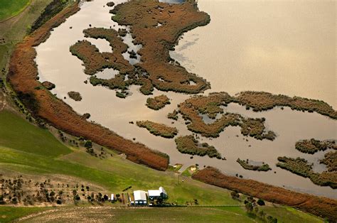 The Coorong Wetlands Are Internationally License Image 71209264