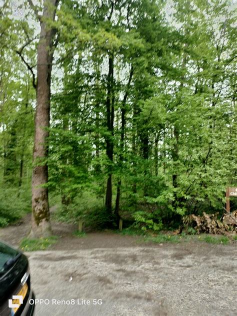 Mon Passif Tr S Femmelle A Faire Jouir De L Anal Comme Une Femme Petite Annonce Viarmes