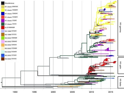 Phylogenetic Relationships Of Ha Genes From 616 Swine Influenza