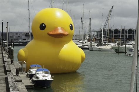 History Of The Rubber Ducky Mr Maults Marketplace