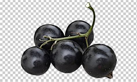 Fruit European Plum Berry Superfood Plant Png Clipart Berry Bilberry