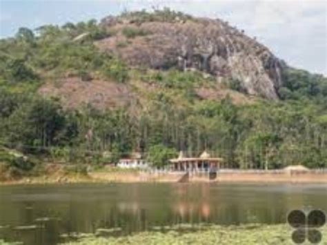 Honnamana Kere Lake Coorg What To Know Before You Go With Reviews