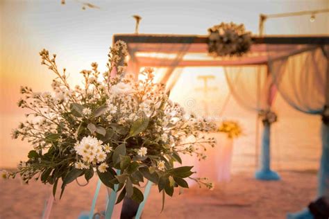 Arco Bonito Do Casamento Na Praia Imagem De Stock Imagem De Exterior