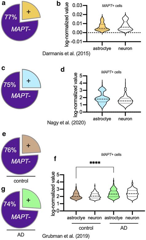 MAPT Tau MRNA Transcript Expression In Astrocytes From Human Adult