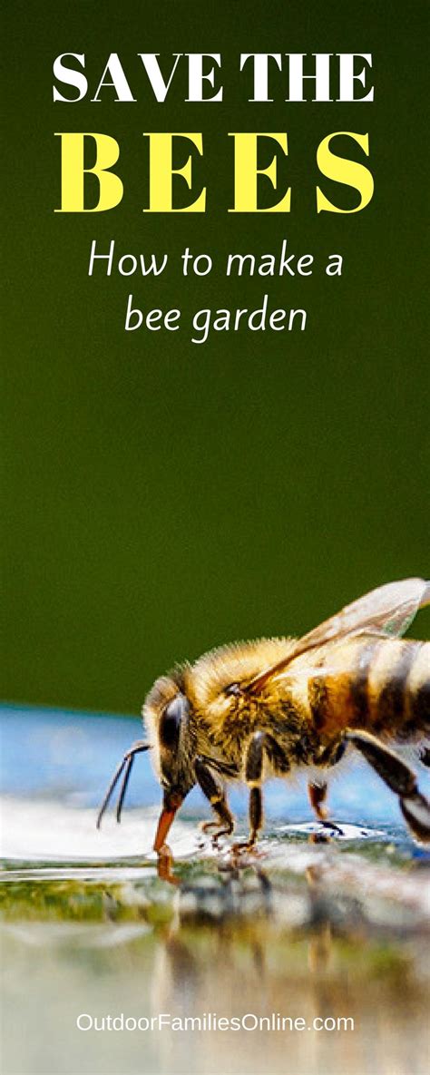 Creating A Pollinator Garden Give Bees A Helping Hand Pollinator