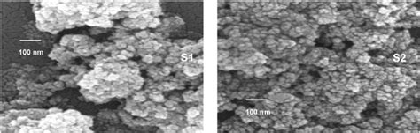 Scanning electron microscopy (SEM) images of samples S1 and S2 ...