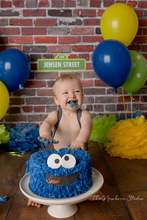 Sesame Street Cake Smash - The Newborn Studio Brisbane