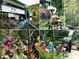 Tempat Menarik Di Kundasang Ranau Destinasi Dingin Seronok