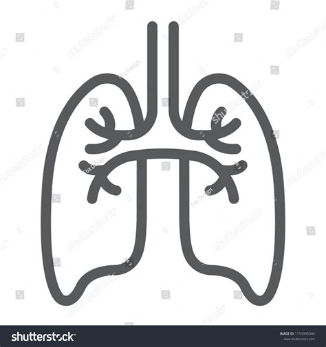 Lungs Line Icon Anatomy Biology Pulmonology Stock Vector Royalty Free