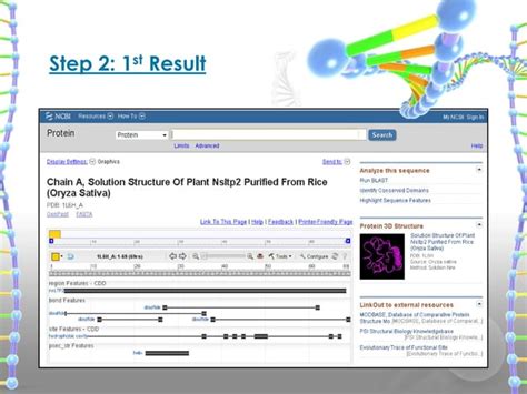 Introduction To NCBI PPT