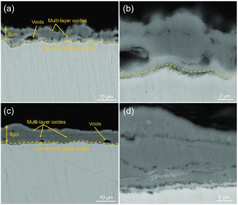 Sem Cross Section Morphologies And An Enlarged Picture Of Samples