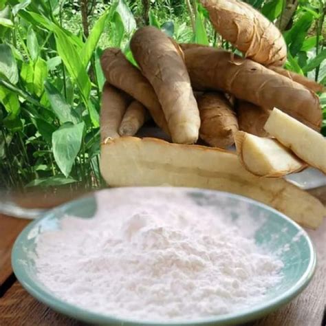 Jual Tepung Garut Pati Asam Lambung Angkrik Arrowroot Gr Pati Kerut