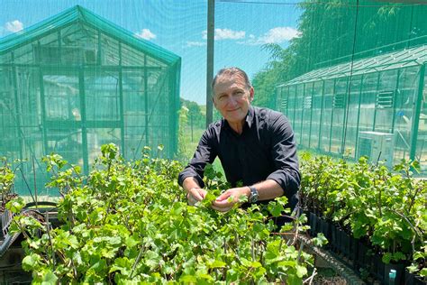 Where agriculture and environment meet: ecological pest management