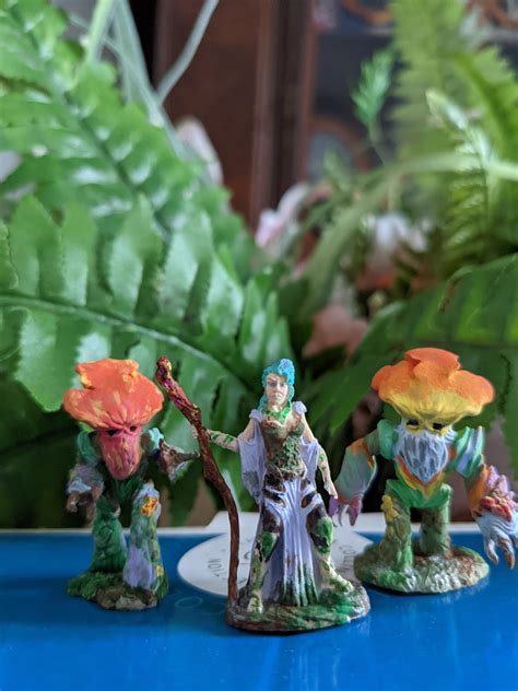 Oc Circle Of Spores Druid And Myconid Friends Rdnd