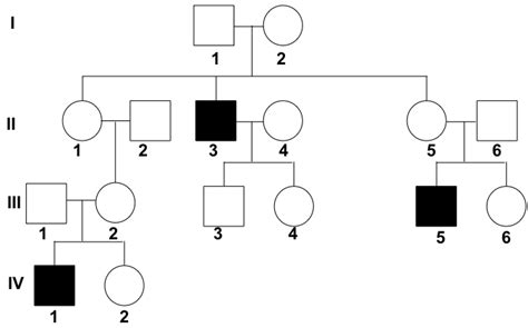 Autosomal Dominant Pedigree Chart Example The Chart