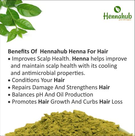 Herbal Henna Powder With 9 Herbs Sojat Henna 1 Kg Hennahubstore