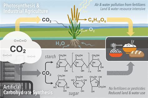 Challenges and Opportunities in Converting CO2 to Carbohydrates | ACS ...