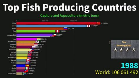 Top Fish Producing Countries To Youtube