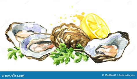 Oyster With Lemon Seafood Watercolor Hand Drawn Illustration Isolated On White Background