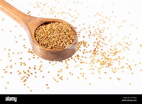 Medicago Sativa Organic Alfalfa Seeds Stock Photo Alamy