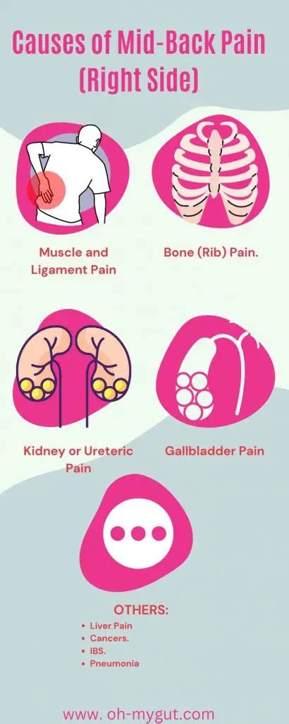 Mid Back Pain Right Side 6 Causes And How To Differentiate Oh My Gut