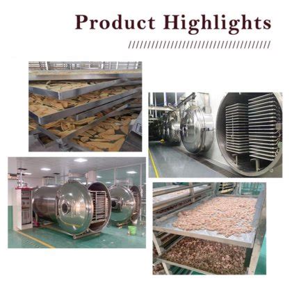 Automatic Food Freeze Drying Equipment Fruits Vegetables Meat