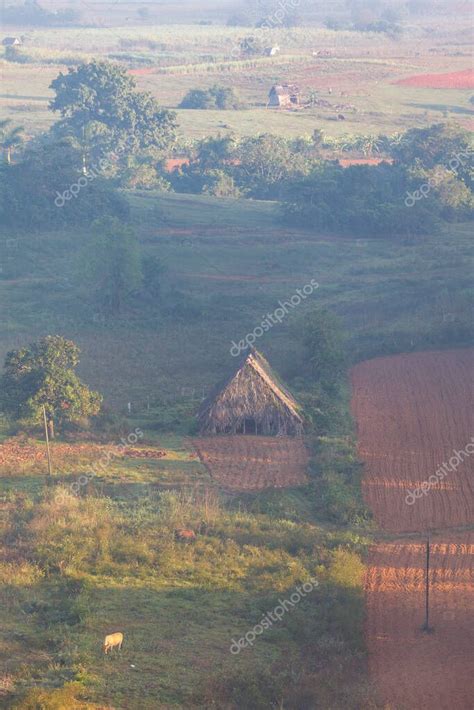 Niebla Matutina Sobre El Valle De Vinales Con Sus Grandes Monta As De