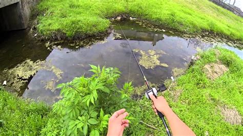 Spring Bass Fishing Spawning Bass Bayou Bass 720p Hd Youtube