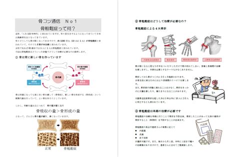 骨コツ通信 骨粗鬆症って何？