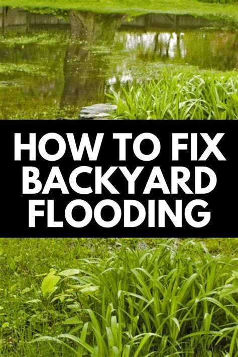 How To Fix Backyard Flooding To Keep Your Yard Looking Spiffy 2024