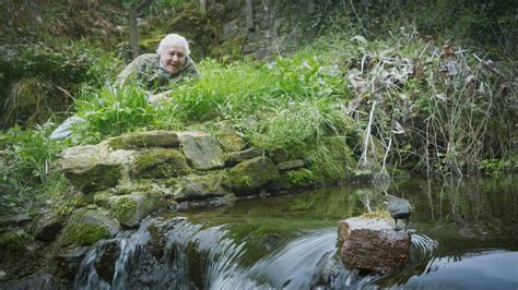 David Attenborough At 97 He Still Works Harder Than Most Of Us