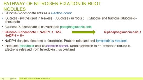 Nitrogen fixation | PPT