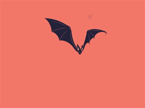 The Bat by Leonardo F. Dias on Dribbble