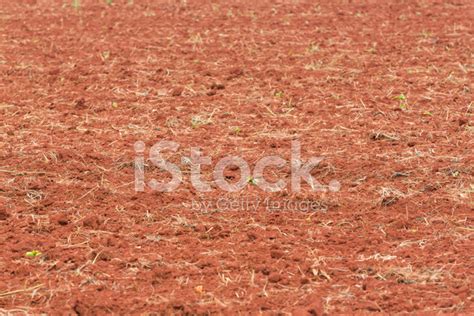 Soil Preparation For Planting Stock Photo | Royalty-Free | FreeImages