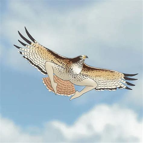 2024 Calendar Of Extremely Accurate Birds 2024 Bird Calendar Wall