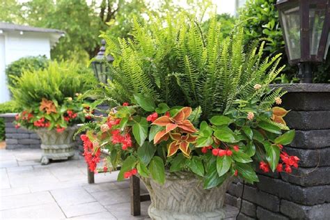 Best Stunning Summer Planter Ideas To Beautify Your Home Summer