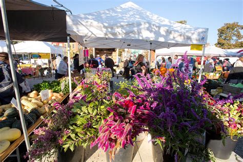 Farmers Markets Near Me 2025 - Lexy Bobinette