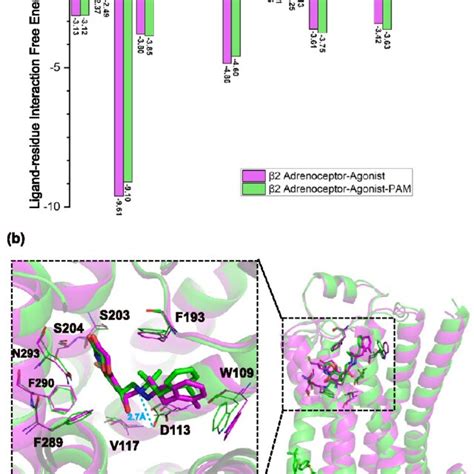 Orthosteric Binding Pocket Comparison In Adrenoceptoragonistpam