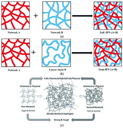 Schematic Illustrations Of Interpenetrating Network IPN And