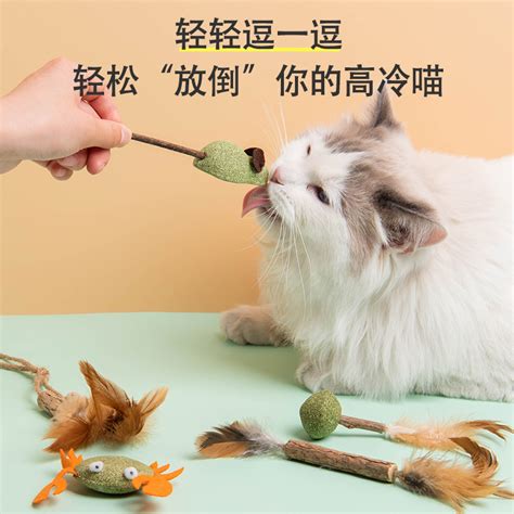 猫咪玩具自嗨解闷神器木天蓼球磨牙猫咪零食棒猫薄荷逗猫棒猫玩具虎窝淘