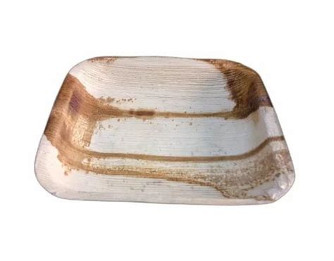 Square Areca Leaf Plate At Rs Piece Pakku Mattai Plate In Mumbai