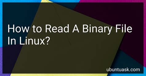 How To Read A Binary File In Linux In 2025