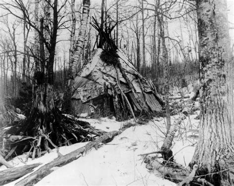 Chippewa Indian Wigwam Photograph Wisconsin Historical Society