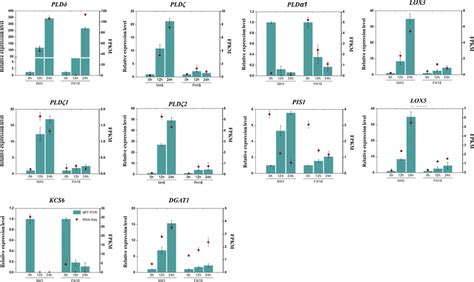 Quantitative Real Time Pcr Qrt Pcr Validation And Rna Seq Data Of