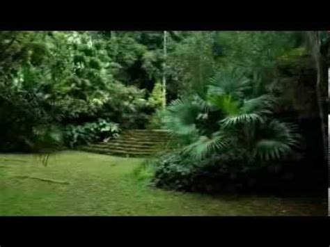 O Jardim Secreto Do Campus Dom Bosco UFSJ YouTube